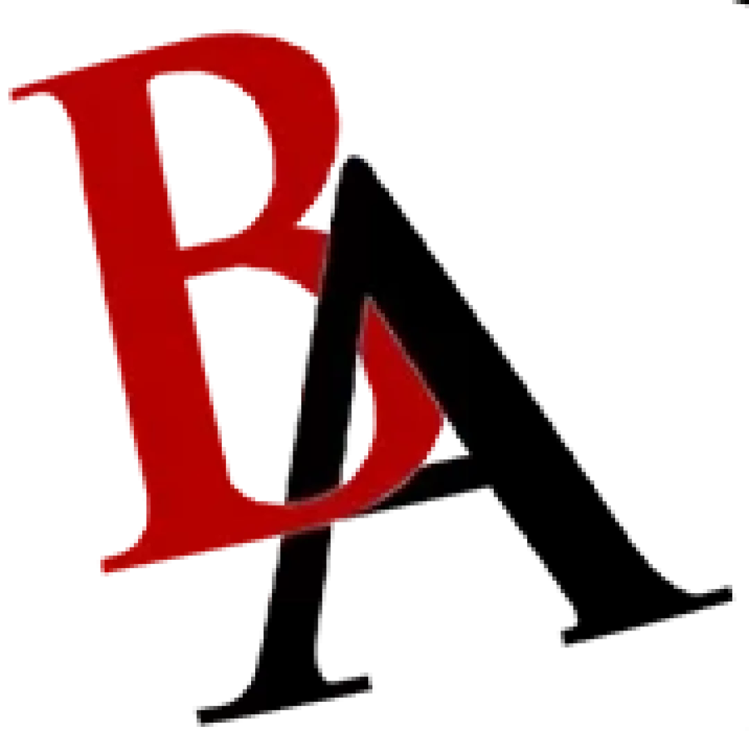 Bair-Aesthetics.png